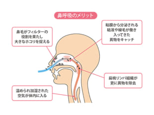 睡眠時の口呼吸がもたらす悪影響とは