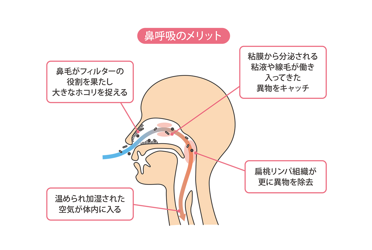 睡眠時の口呼吸がもたらす悪影響とは