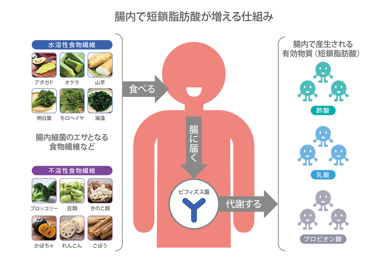 を に 菌 善玉 は 増やす 善玉菌が増えるとどうなるの？調査したらいいことだらけだった！