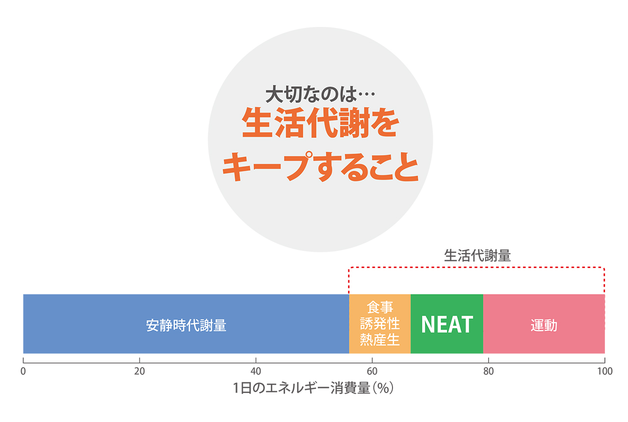 代謝 が 悪い 寒い