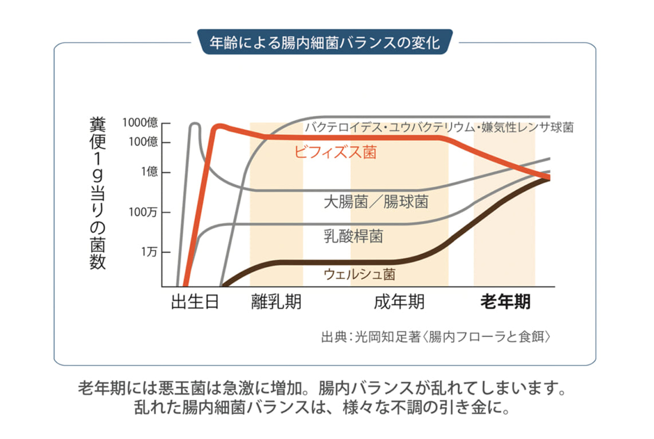 「すっきり出したい！」大人の排便力を鍛える腸活＆腸育３つのキーワード