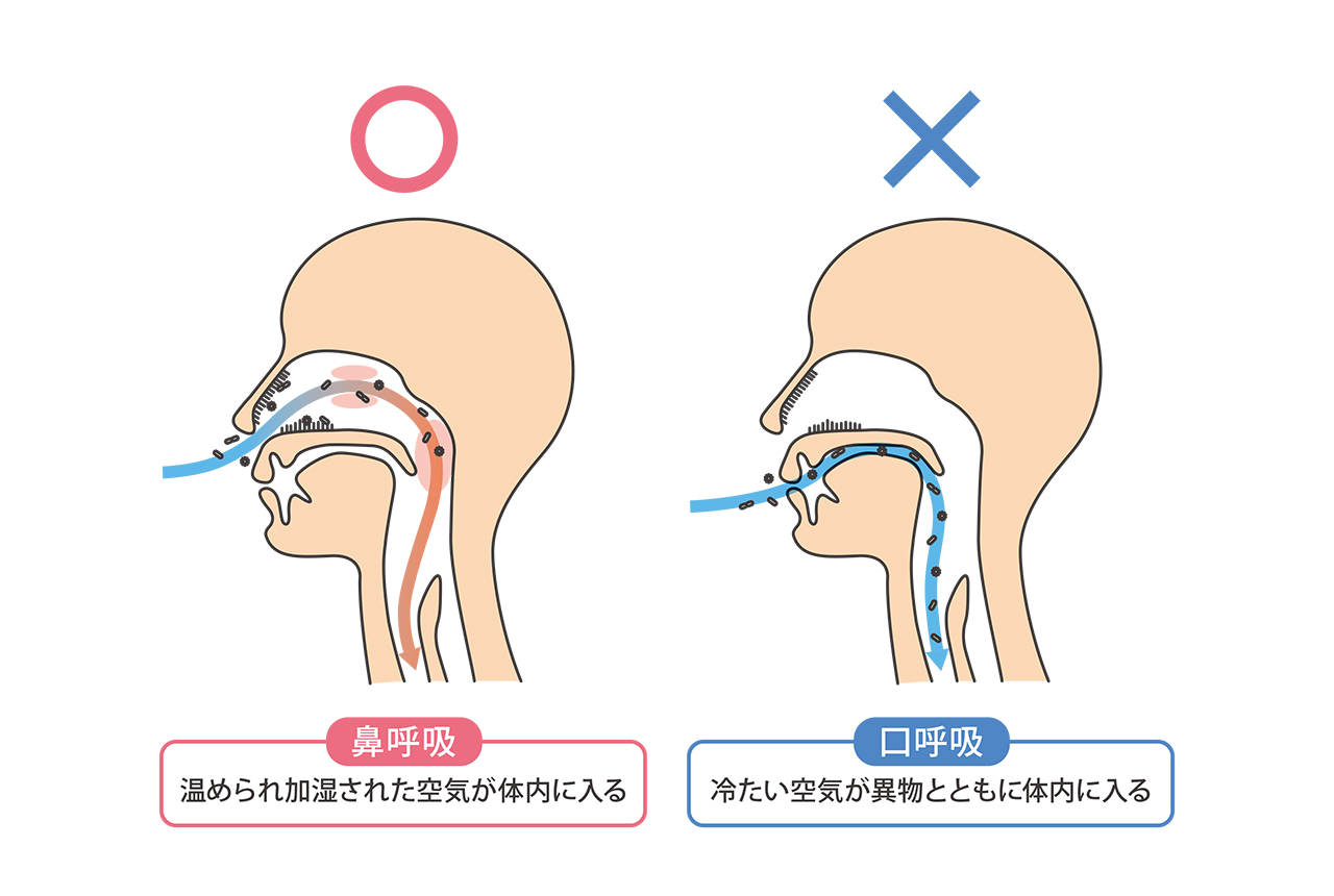 鼻 で 息 を 吸う と 痛い