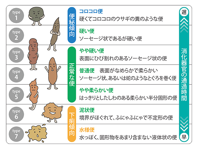 健康道場腸のおもしろ話 第4回 便は腸のバロメーター。状態を観察してみよう