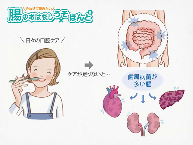 歯周病と糖尿病に関係があることはよく知られていますが、肝臓の病気にも関係している？