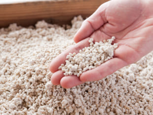 日本の国菌をご存じですか？和食を支える縁の下の力持ち・麹菌