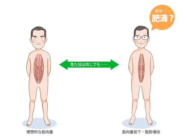 痩せ型なのに肥満!?見た目に判らないからこそ怖いサルコペニア肥満