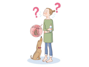 頑固な便秘は、腸の位置のズレが原因?