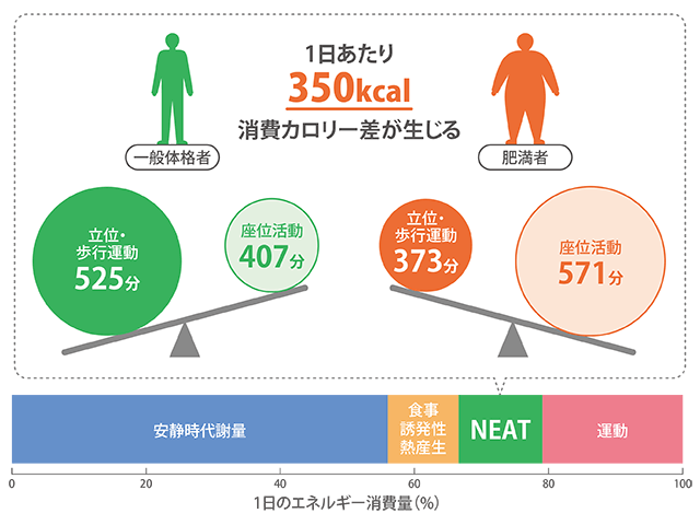 「ニート（NEAT）」を意識して、代謝アップ！