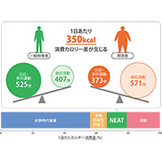 「ニート（NEAT）」を意識して、代謝アップ！