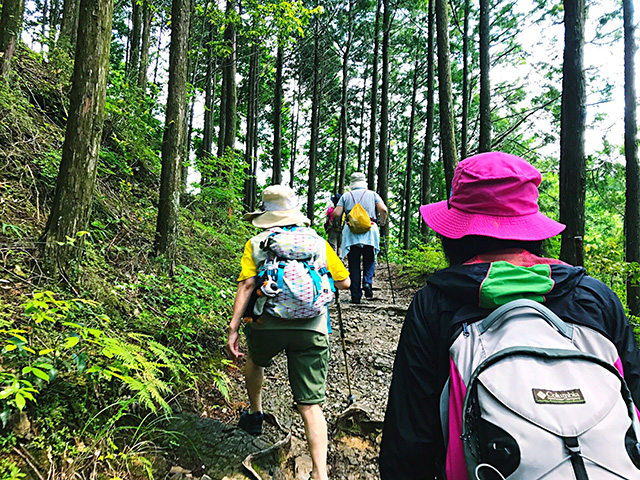 健康増進を旅の新たな魅力に！健康道場と行く世界遺産・熊野古道（前編）