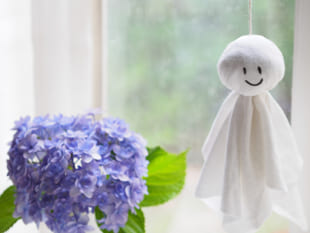 「湿邪（しつじゃ）」に負けない身体づくりを