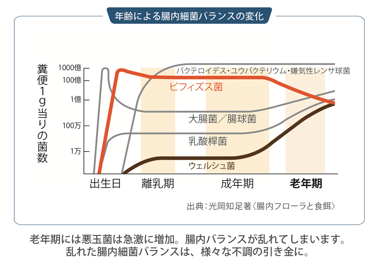 腸内細菌が住み心地良い環境に。ラクトフェリンで積極的な腸育を