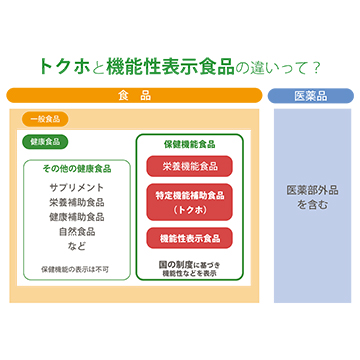 トクホと機能性表示食品の違い、ご存知ですか？