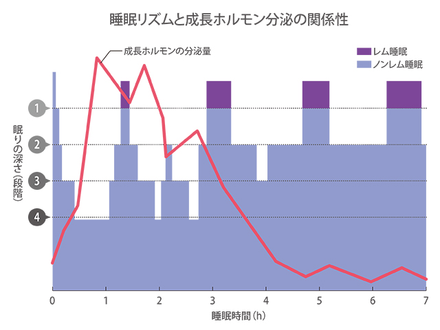 睡眠にまつわる疑問。睡眠のゴールデンタイムってホントにあるの？