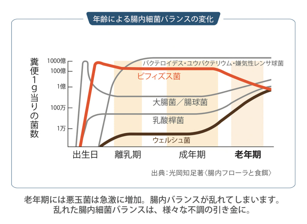 ビフィズス菌を味方につけよう！腸内環境改善に効く理由とは？