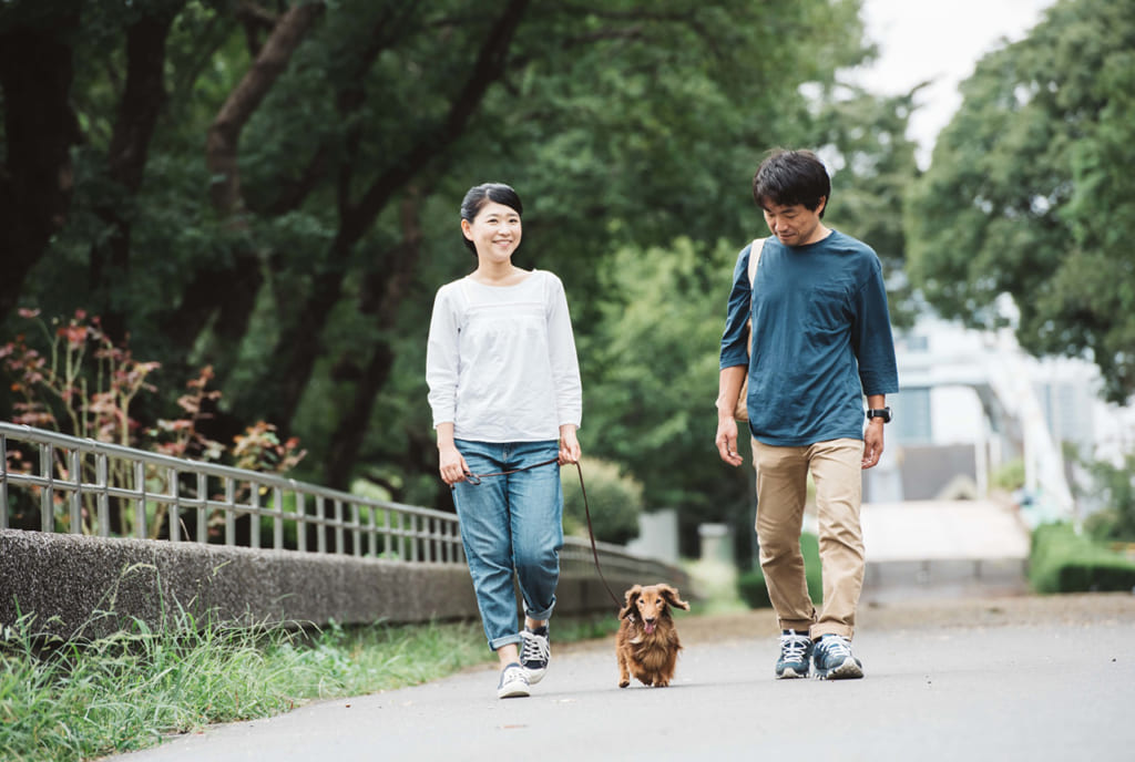 これからは骨格筋が資産。肝臓の負担を減らす働きも