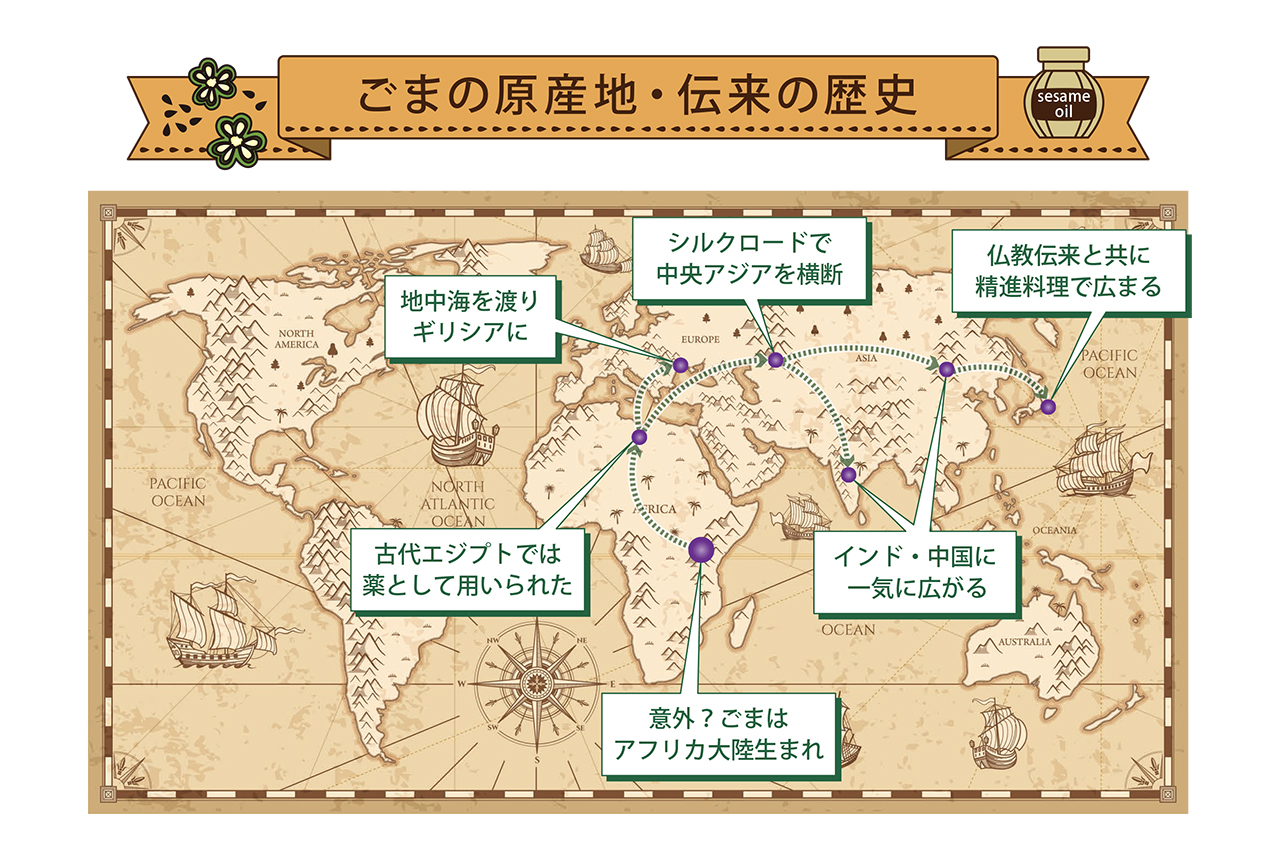 「ごま」にまつわるよもやま話。起源と歴史、日本伝来について