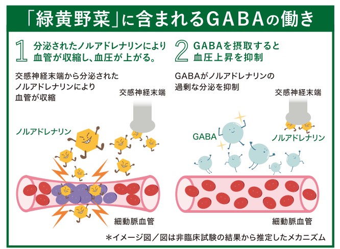 画像：1本あたりの栄養比較