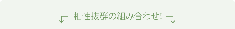 相性抜群の組み合わせ！