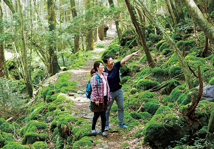 葉っぱと温泉の街　徳島県上勝町いろどりコース