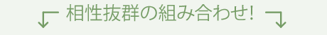 相性抜群の組み合わせ！