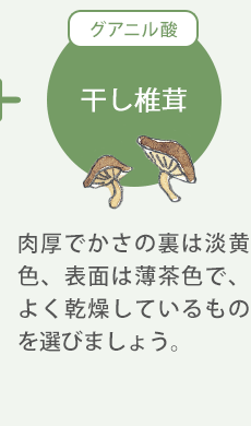 干し椎茸（グルタミン酸）：肉厚でかさの裏は淡黄色、表面は薄茶色で、よく乾燥しているものを選びましょう。