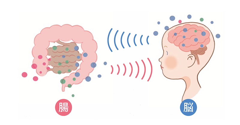 メンタルヘルスにも関係？ 腸内環境と心身の密接な関係