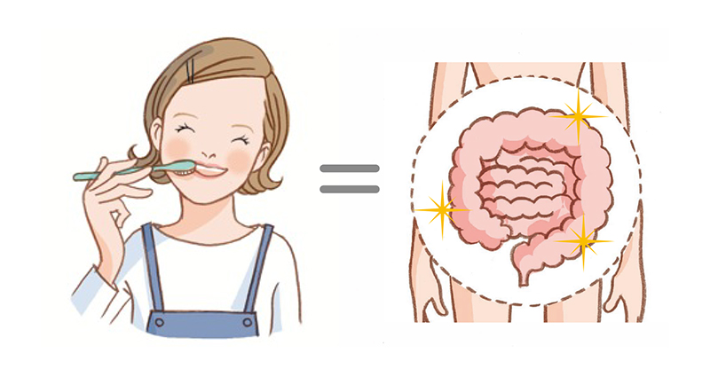 歯周病が腸に影響？！あなたの お口と腸はつながっています