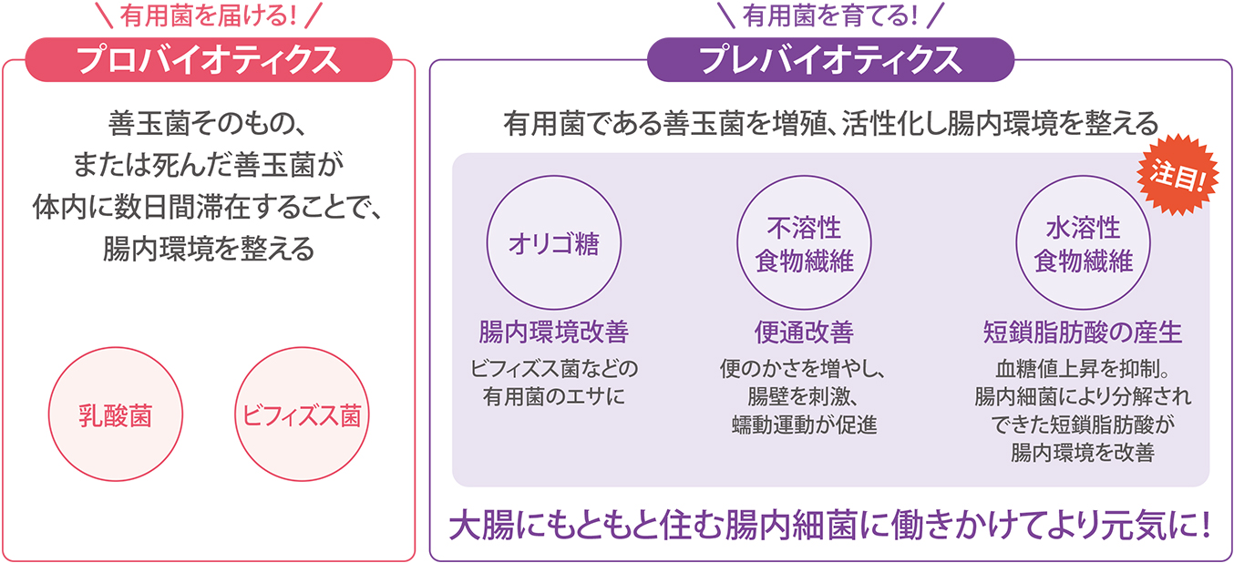 を に 菌 善玉 は 増やす 口内の善玉菌を増やす方法｜教えて歯医者さん