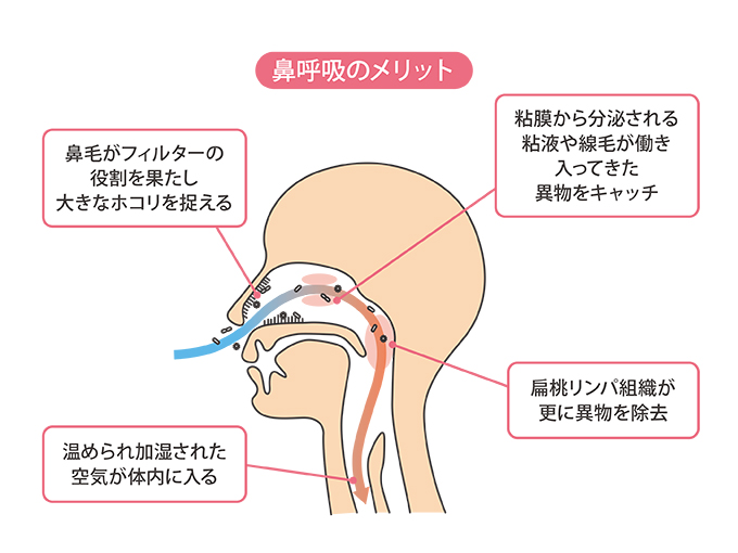 睡眠時の口呼吸がもたらす悪影響とは