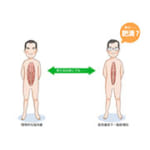 痩せ型なのに肥満!?見た目に判らないからこそ怖いサルコペニア肥満