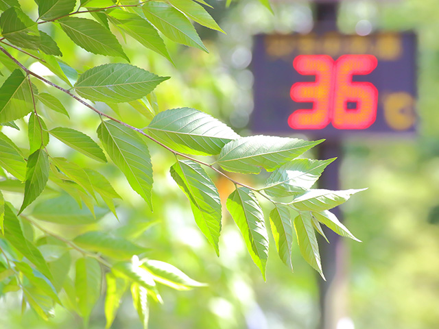 暑さで食欲がでない夏を乗り切る、栄養摂取と食事のコツ