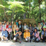 よみがえりの地・熊野古道。神々が鎮めし森を歩く健康道場ツアー