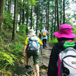 健康増進を旅の新たな魅力に！健康道場と行く世界遺産・熊野古道（前編）