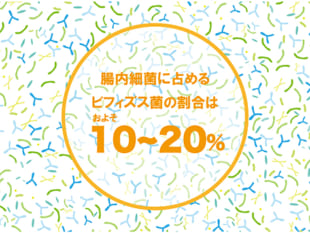 ビフィズス菌を味方につけよう！腸内環境改善に効く理由とは？