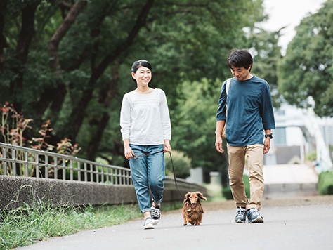 これからは骨格筋が資産。肝臓の負担を減らす働きも