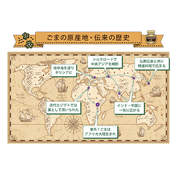 「ごま」にまつわるよもやま話。起源と歴史、日本伝来について